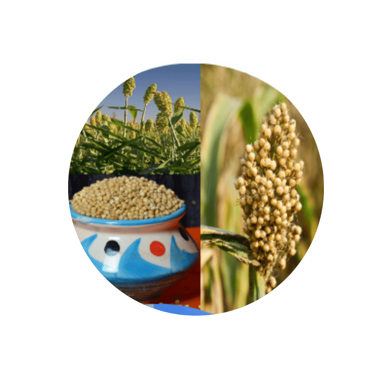 millets